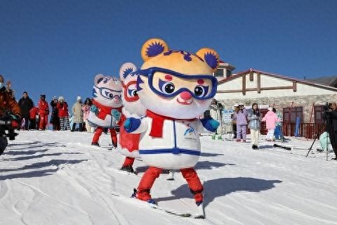 亚冬会吉祥物滨滨和妮妮滑雪亮相，哈尔滨冰雪季启幕仪式惊喜连连  第1张