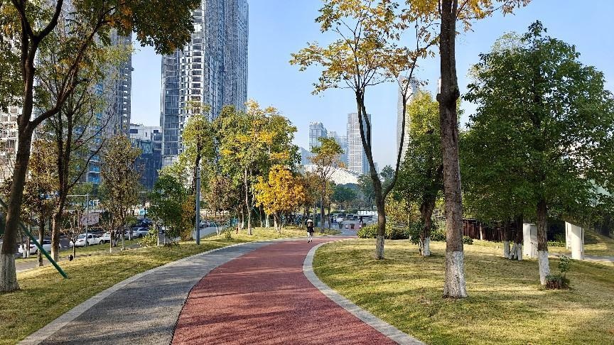 成都交子公园：冬日暖阳下的诗与远方，随手一拍即是大片  第3张