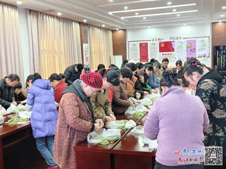 剥豆大赛惊现神速手!城南社区巧手剥豆活动引爆全场热情 第1张 剥豆大赛惊现神速手!城南社区巧手剥豆活动引爆全场热情 第1张