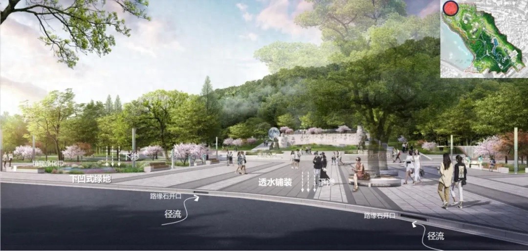 南湖公园：从浔阳明珠到海绵城市新标杆，九江如何破解60年老公园的转型难题？  第1张