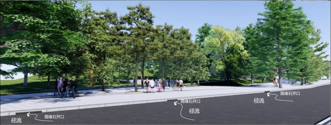 南湖公园：从浔阳明珠到海绵城市新标杆，九江如何破解60年老公园的转型难题？  第6张