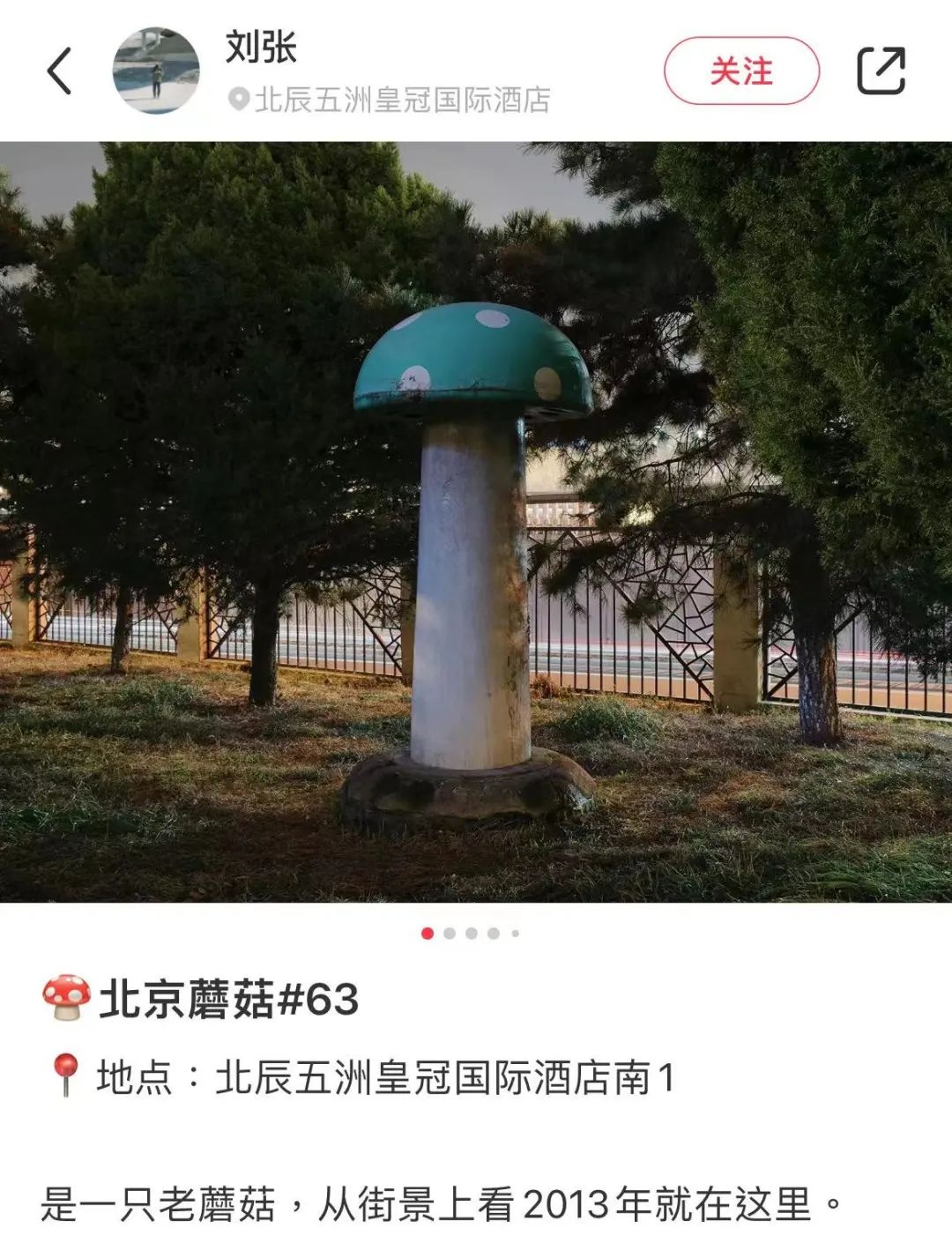 北京街头惊现神秘‘大蘑菇’，蘑菇猎人揭秘背后的真相  第2张