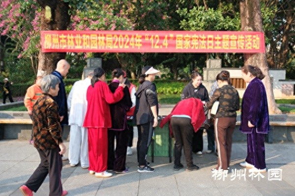 12月4日国家宪法日，柳州林业和园林局带你走进法律世界，感受法治力量