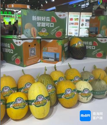 海南蜜瓜新品甜蜜亮相冬交会，80%冬季市场被海南瓜占领，你尝过了吗？  第1张