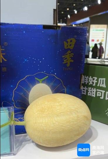 海南蜜瓜新品甜蜜亮相冬交会，80%冬季市场被海南瓜占领，你尝过了吗？  第2张