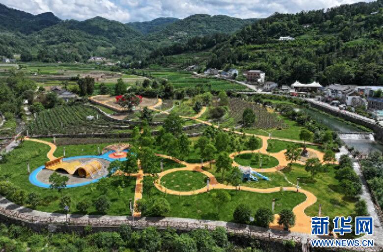 石柱村：从贫困村到乡村振兴示范村的华丽转身，揭秘背后的故事