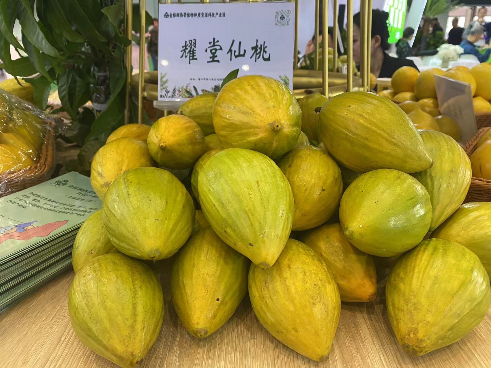 惊！长得像杨桃的南瓜现身冬交会，你见过吗？  第2张