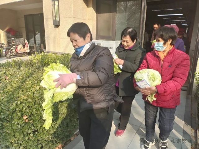 大雪节气社区反诈活动：百财白菜送温暖，金融安全知识大普及  第7张