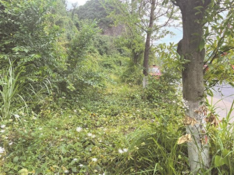 北京东路情人谷大桥人行道乱象频生，职能部门何时能还市民一个干净整洁的环境？  第1张