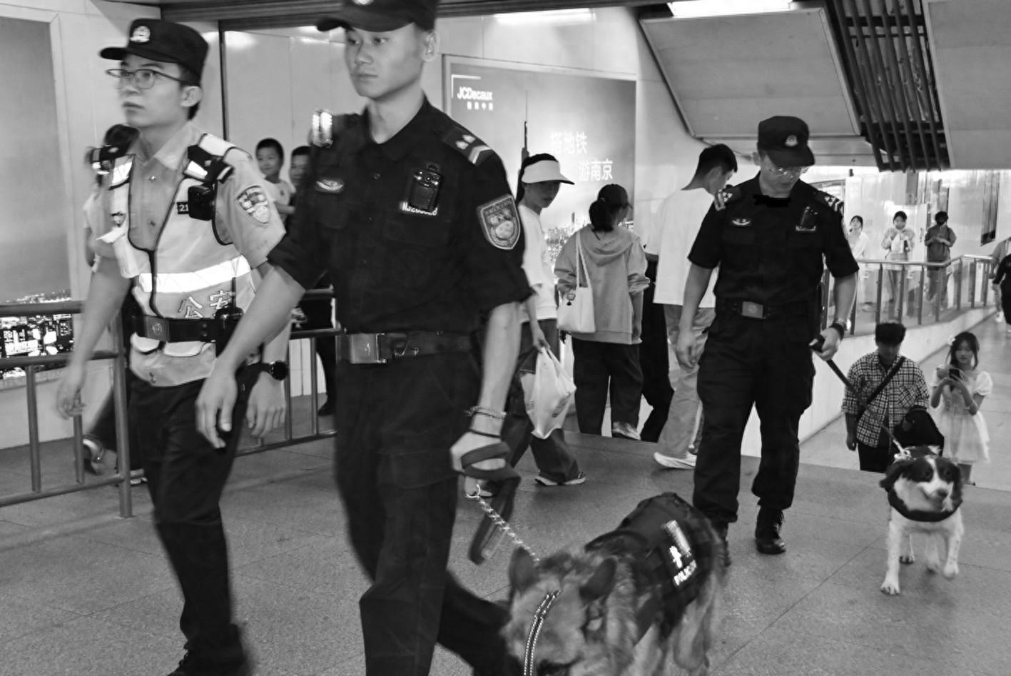 国庆假期，南京地铁惊现一群特殊工作者，你知道它们是谁吗？