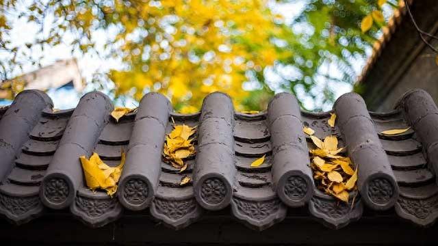 探秘京城胡同：在细雨中感受独特的宁静与美好  第1张