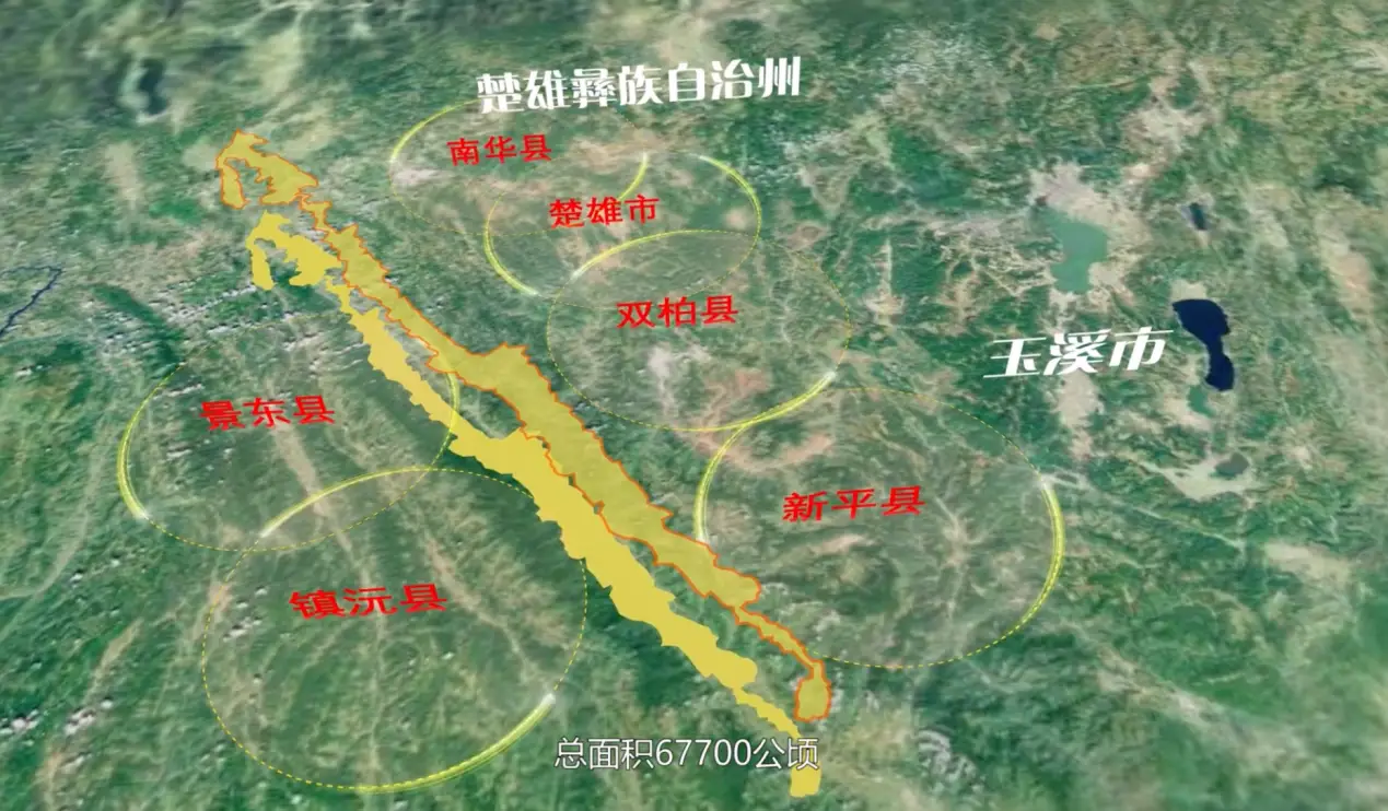 国庆哀牢山爆火！全国最大原始阔叶林区，为何禁止入内？  第1张