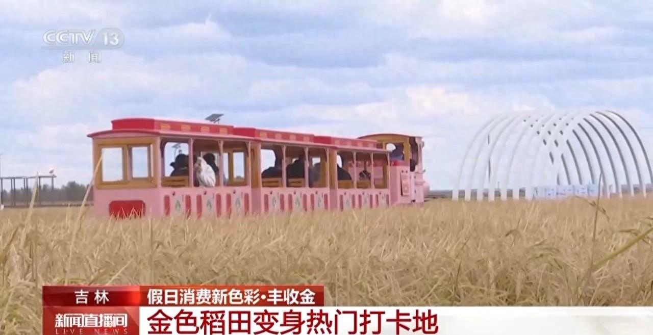 国庆假期，消费市场色彩缤纷，金色乡村消费亮点纷呈  第1张