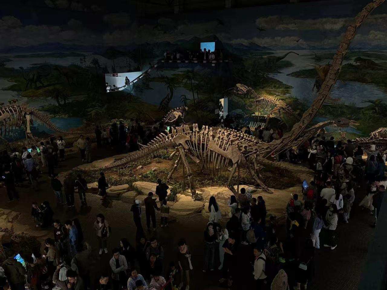 国庆大安区文化盛宴、旅游项目、安全保障，绘就欢乐祥和美好画卷  第2张