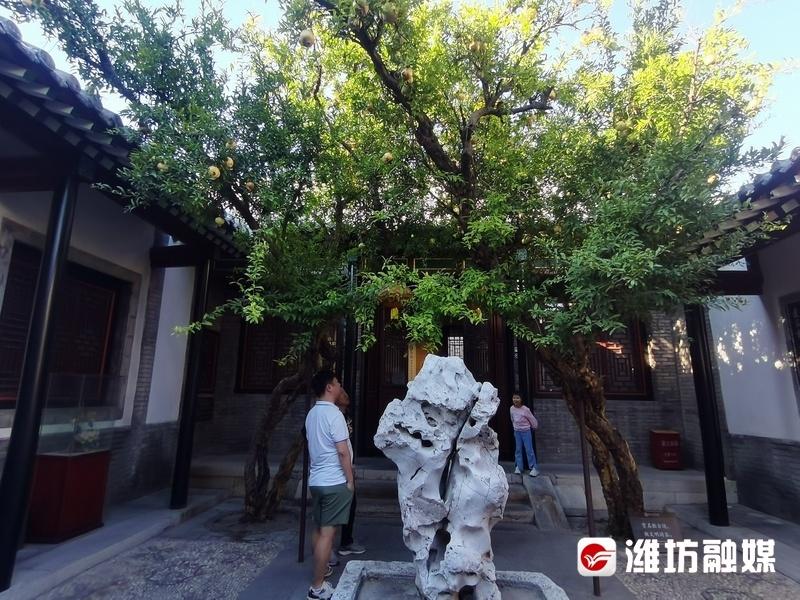 国庆假期，潍坊十笏园博物馆为何吸引大量游客前来打卡？  第2张