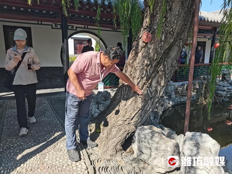 国庆假期，潍坊十笏园博物馆为何吸引大量游客前来打卡？  第3张