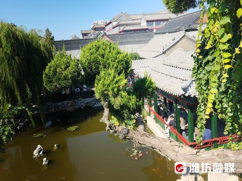 国庆假期，潍坊十笏园博物馆为何吸引大量游客前来打卡？  第5张