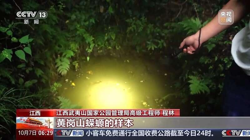 武夷山国家公园江西片区发现新物种，你见过吗？  第3张