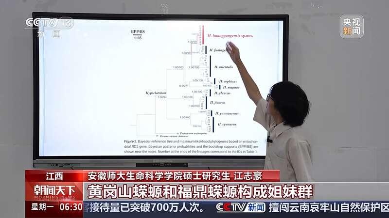 武夷山国家公园江西片区发现新物种，你见过吗？  第4张