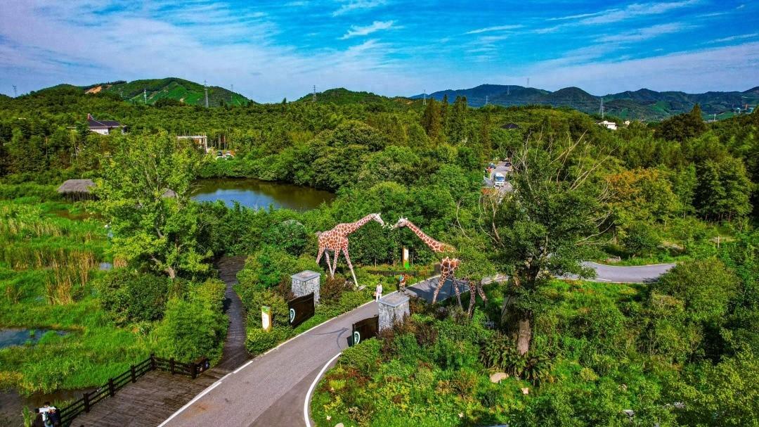 湖州生态警务联盟成立，守护绿水青山