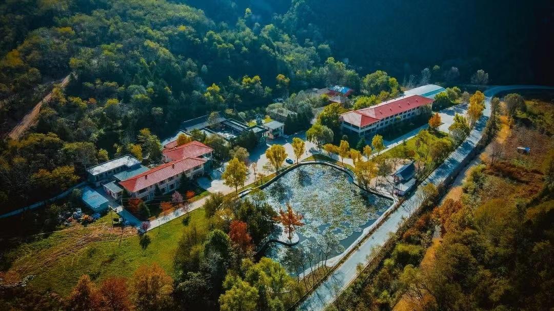 国庆最后一天，清水县各景点热度不减，紫色花海等你来打卡  第3张