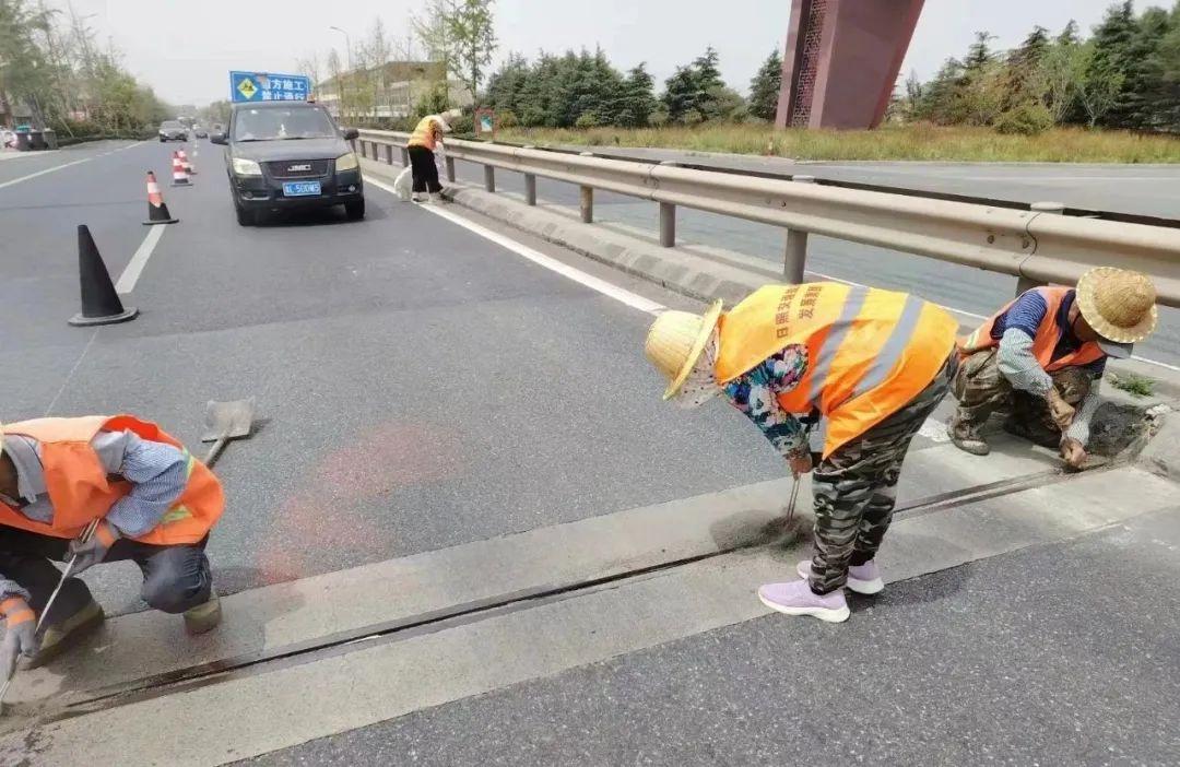 国庆假期，他们为何坚守岗位？揭秘日照市交通运输局背后的故事  第3张