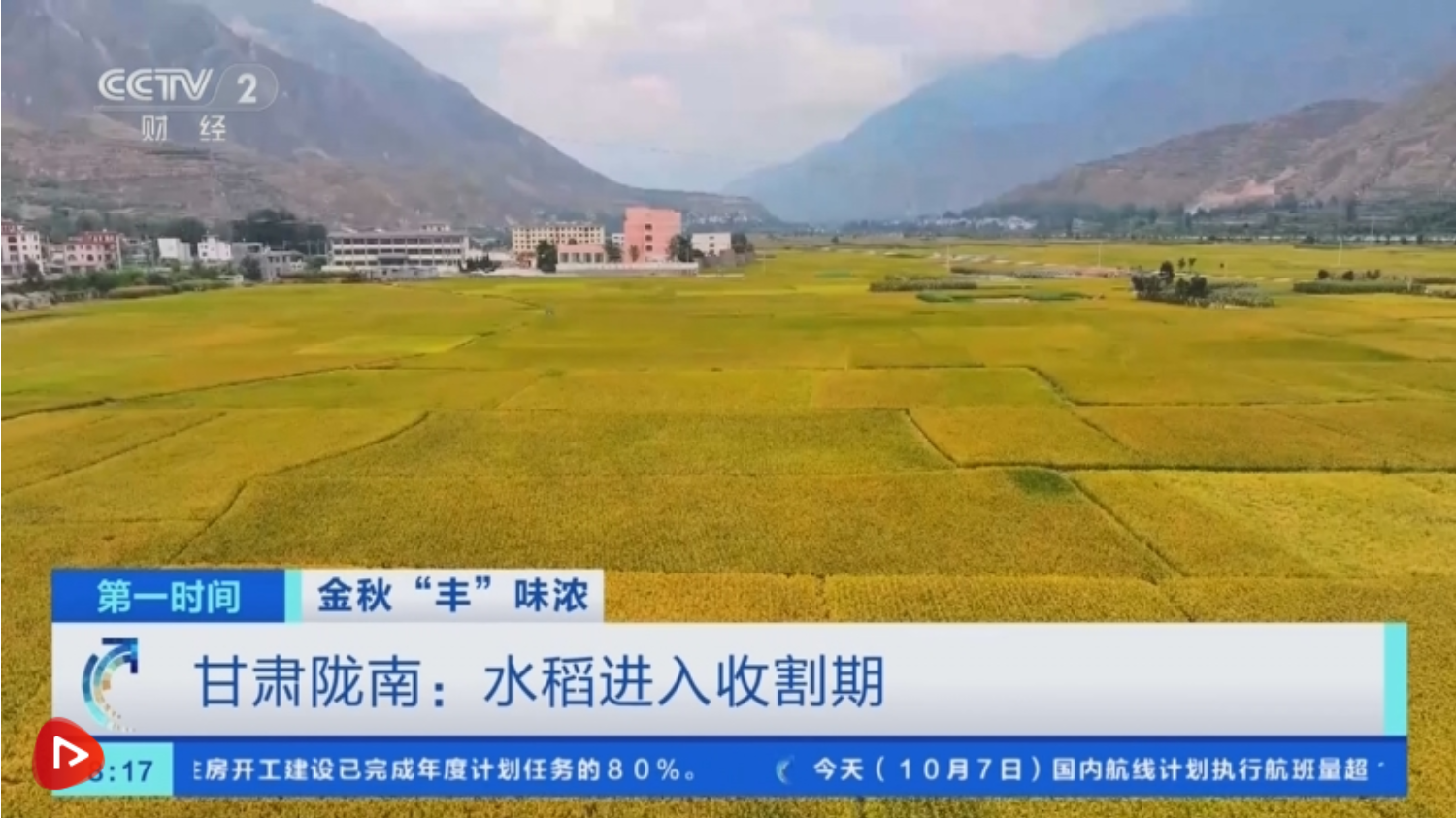 金秋时节稻谷飘香，福建福安梯田中稻陆续成熟，农户加紧人工收割  第2张