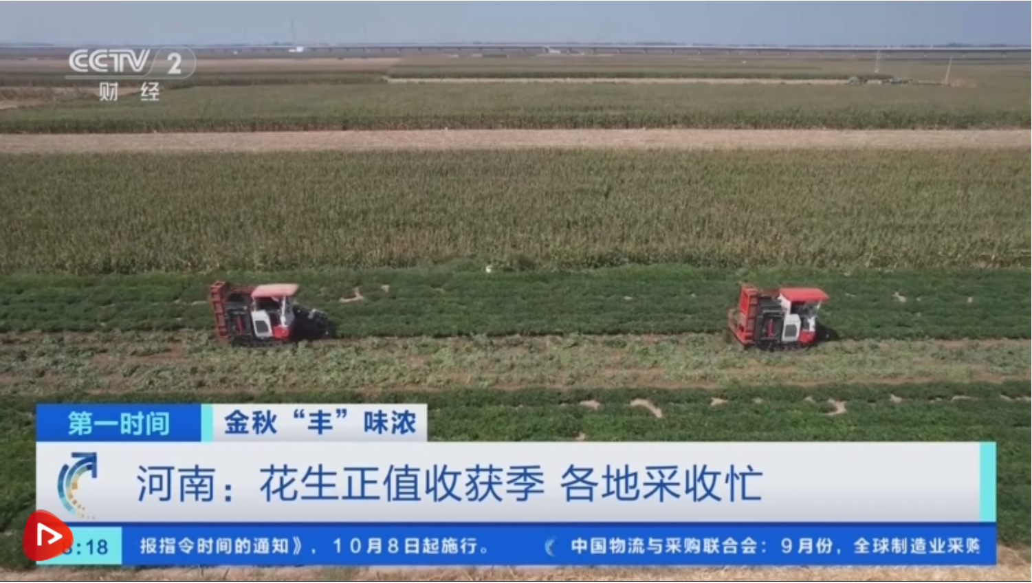 金秋时节稻谷飘香，福建福安梯田中稻陆续成熟，农户加紧人工收割  第5张