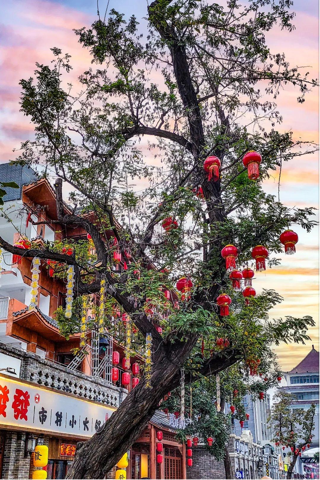 国庆假期，邢台火了！95 后女孩带你畅游重现开元盛世的邢台  第9张