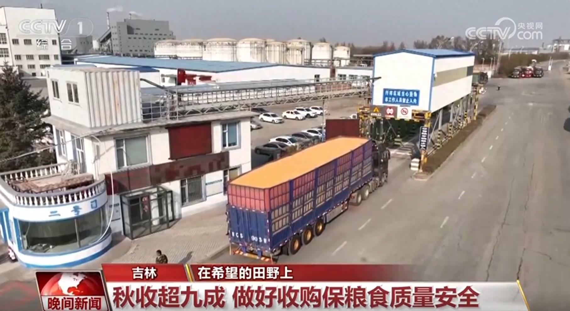 秋收工作接近尾声，各地如何确保粮食颗粒归仓？
