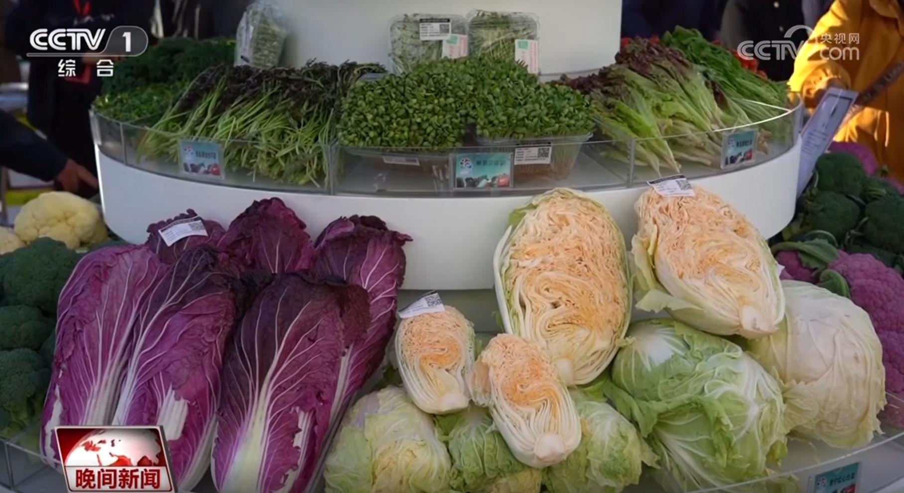 秋收工作接近尾声，各地如何确保粮食颗粒归仓？  第4张
