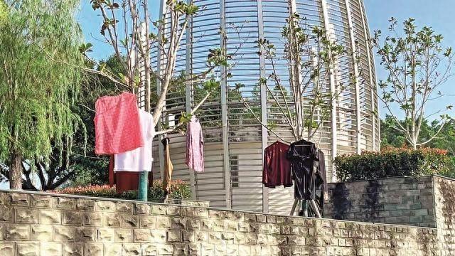思源广场竟成晾衣架？市园林局出手整治  第1张