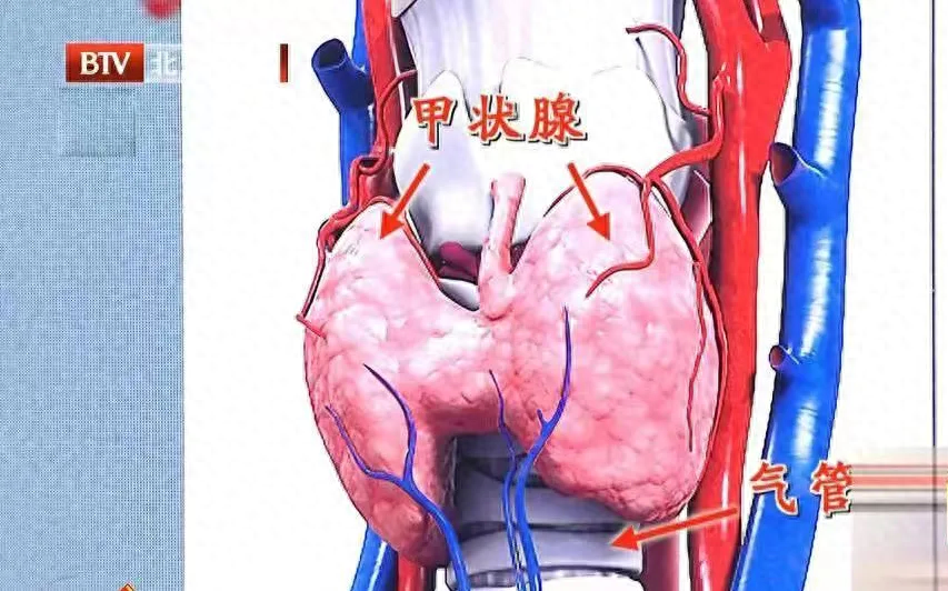早上睡醒有这 4 大表现，说明身体相当健康！你占了几个？