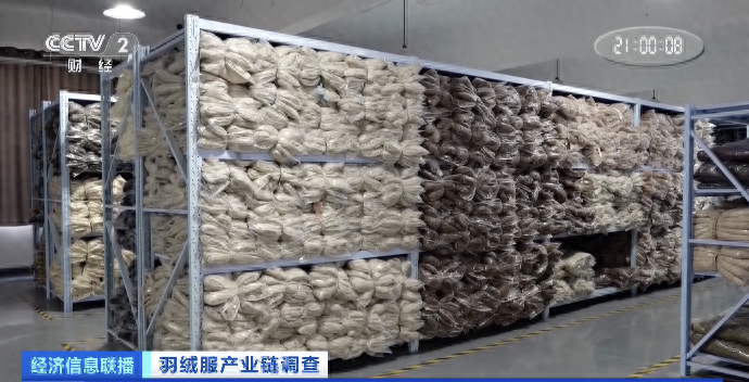 羽绒服涨价的罪魁祸首竟然是猪？