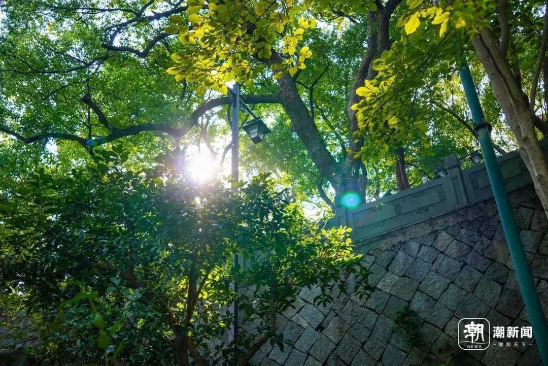 立冬已至，冷空气频繁！今天珍惜好天气，明晚起有雨，你准备好了吗？  第1张