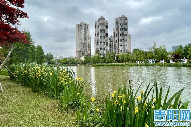 白云长坡岭国家森林公园，秋季赏景好去处  第2张
