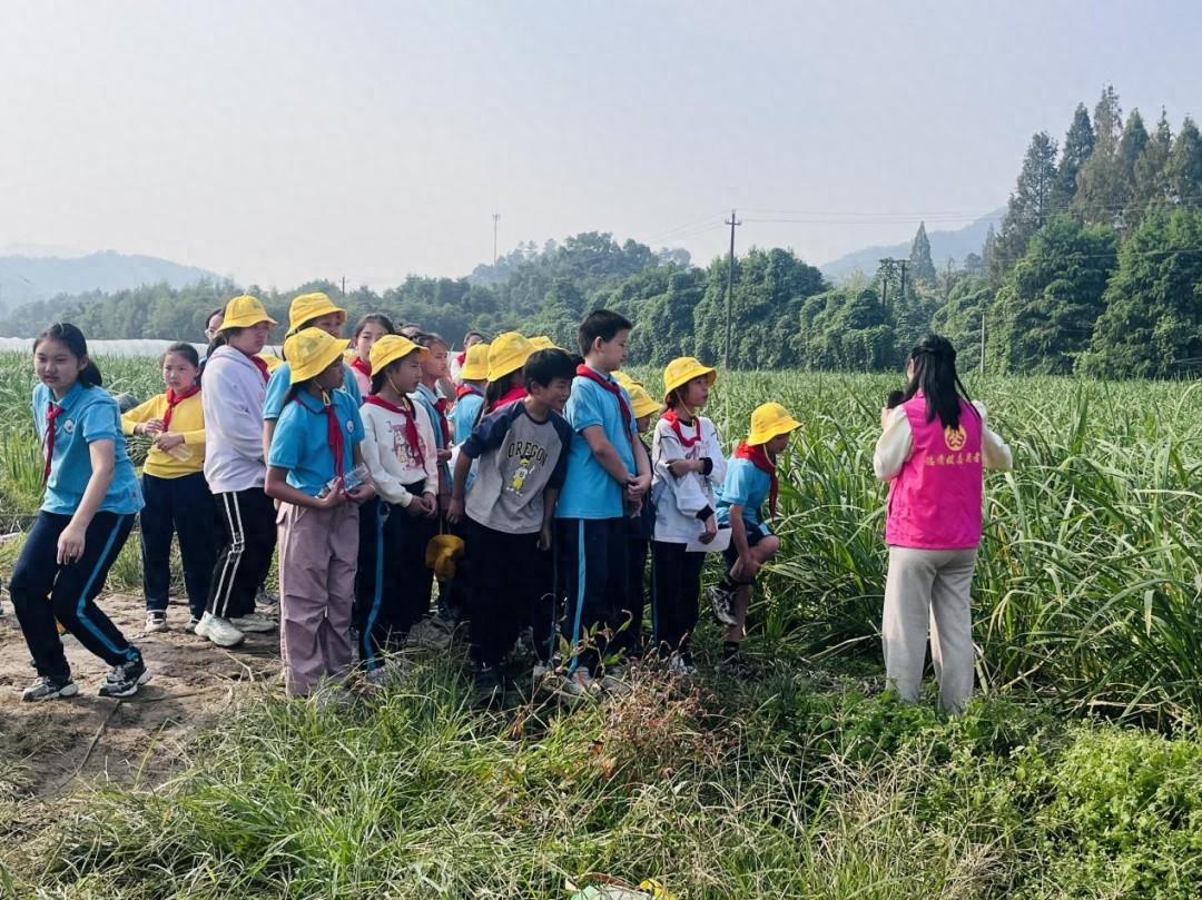 走进田野课堂，体验农耕文化！德清新居民儿童的快乐研学之旅