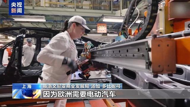 第七届进博会：297 家世界 500 强和行业龙头企业齐聚，开放的中国市场魅力无限  第4张