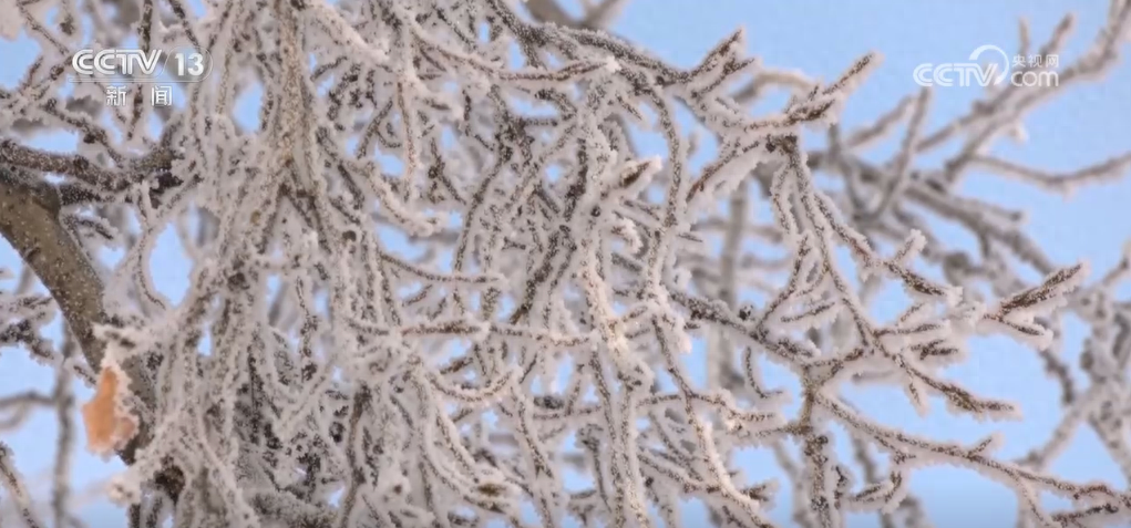 你见过-27.7℃的雾凇奇观吗?快来黑龙江呼玛县感受一下吧 第1张 你见过-27.7℃的雾凇奇观吗?快来黑龙江呼玛县感受一下吧 第1张