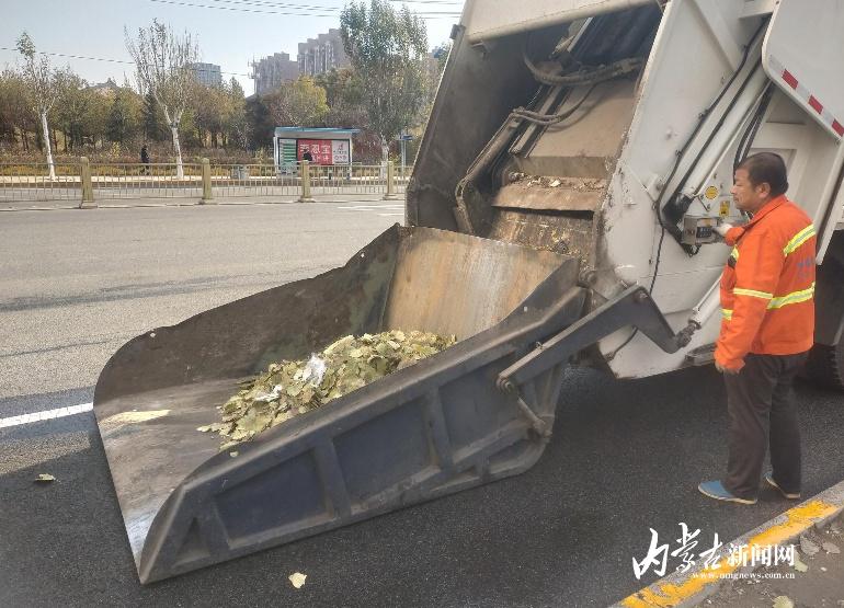 落叶纷飞不用愁！呼和浩特环卫部门齐上阵，高效清理落叶  第4张