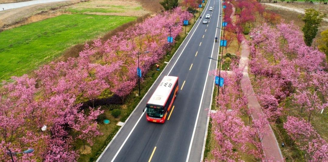 湖州这些公路正在或即将施工，请注意绕行  第1张