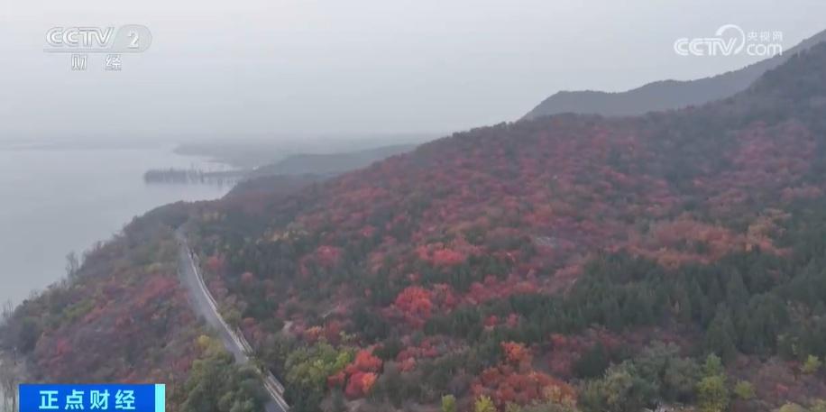 北京密云水库：彩叶缤纷、碧水如洗，还有明代长城遗址，快来感受山水间的流动画卷  第5张