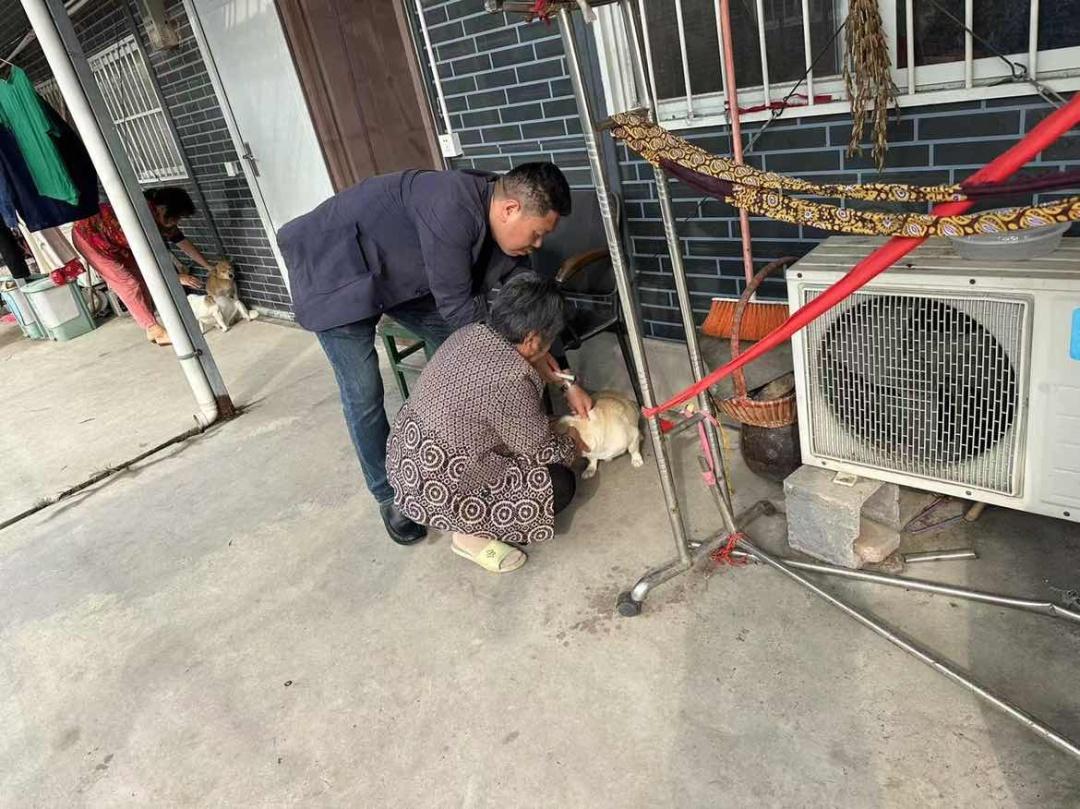 2024 年善琏镇犬只集中免疫接种工作全面启动，上门服务，老年人纷纷点赞  第2张