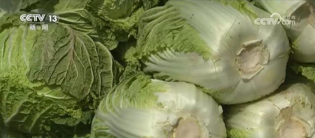 北方人的立冬，竟和这些菜有关  第2张