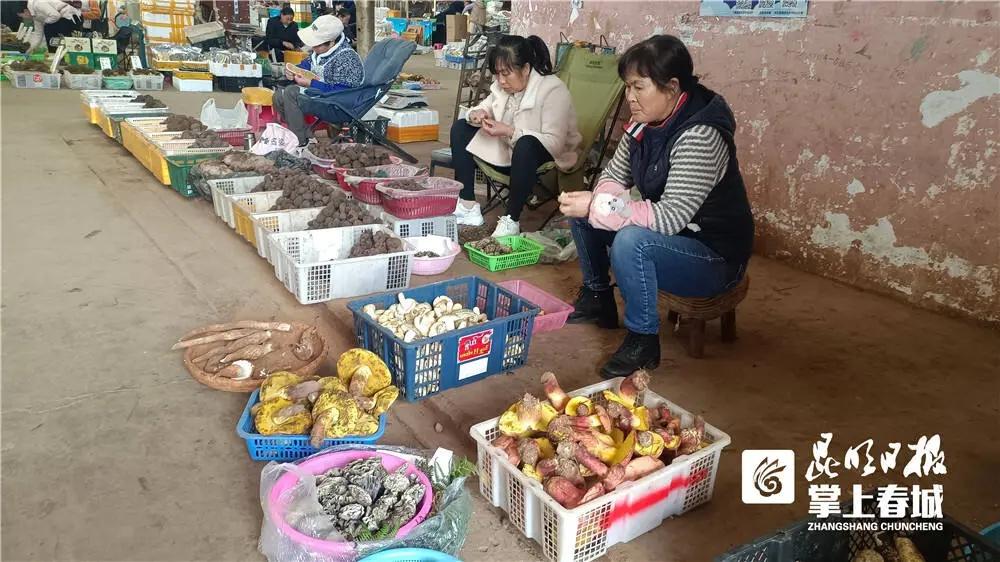 错过今年，你要等三年才能再吃到野生菌  第3张