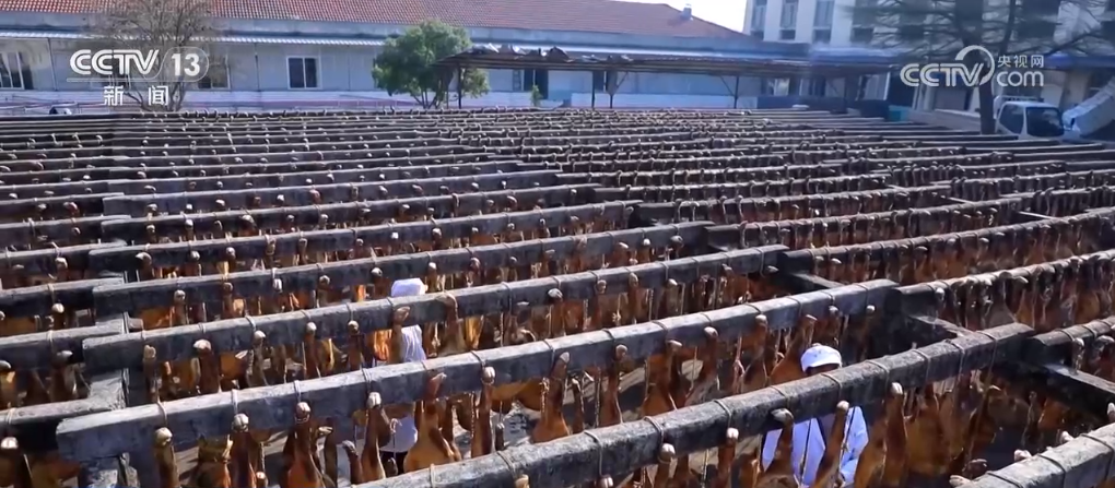 腌菜干菜，国人冬藏习俗！酸菜火腿，千年历史美味  第3张