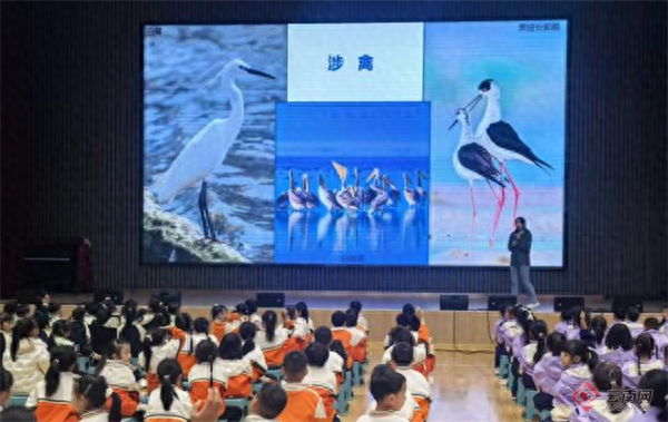 在云南滇池，一场爱鸟护鸥的科普教育实践活动成功举办  第1张