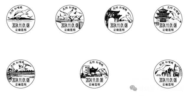 昆明红嘴鸥主题邮局启用，一枚邮资机宣传戳带你领略天空舞者的魅力  第4张