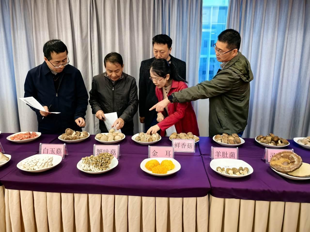 惊艳！2024 年浙好菌菇推选活动，15 个产品获金奖，这些新奇菌菇你见过吗？  第2张