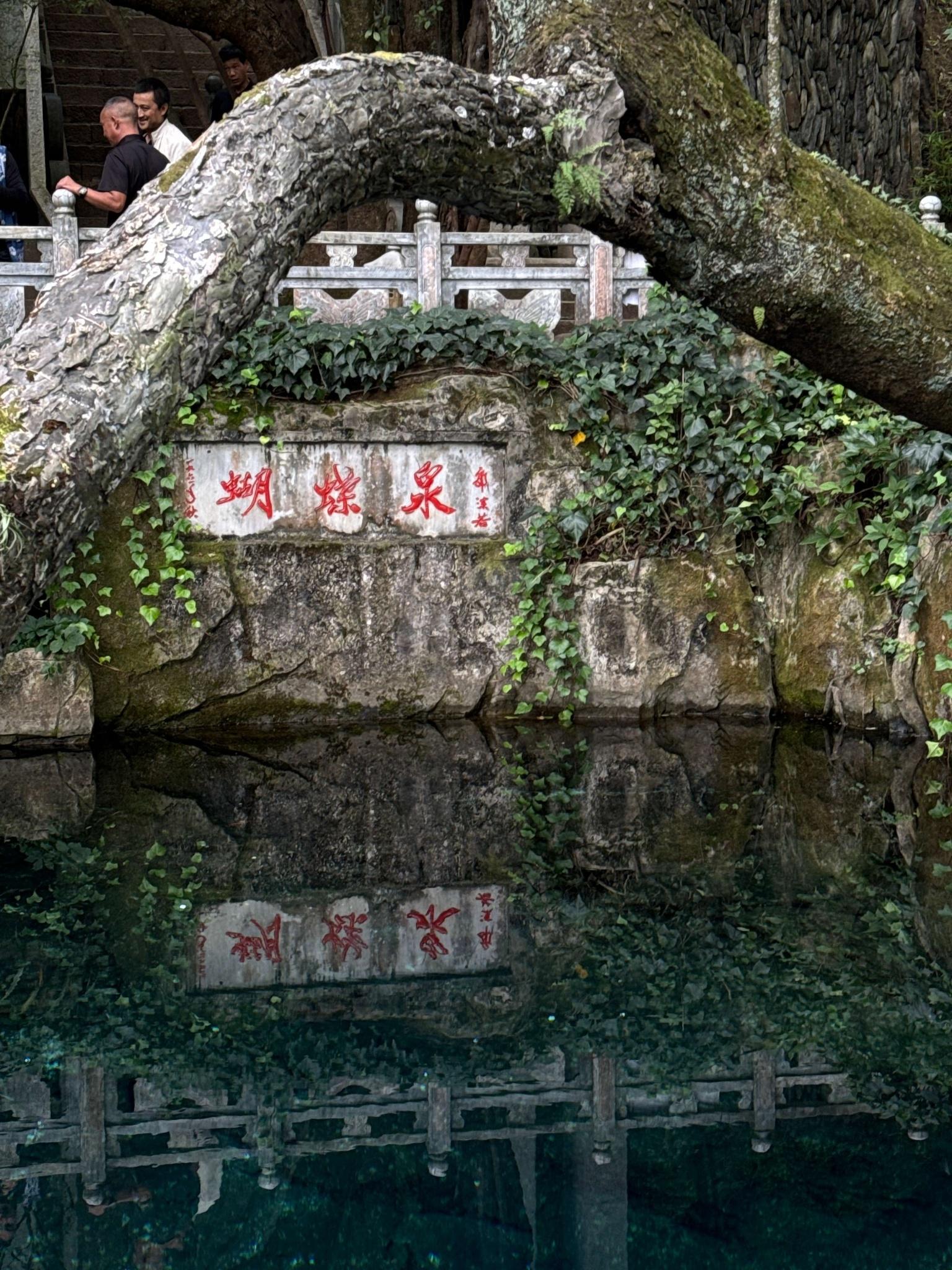 州庆放假去哪玩？红河人专属福利，大理这些景点免费开放  第4张